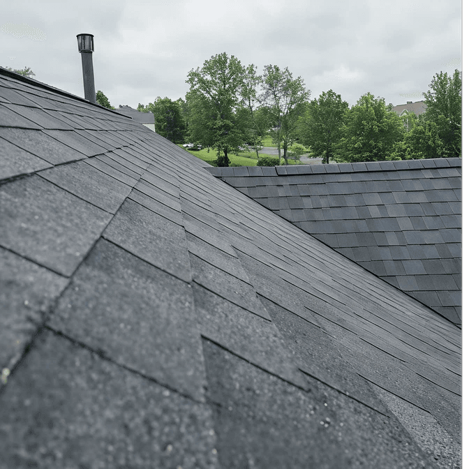 Roof 3